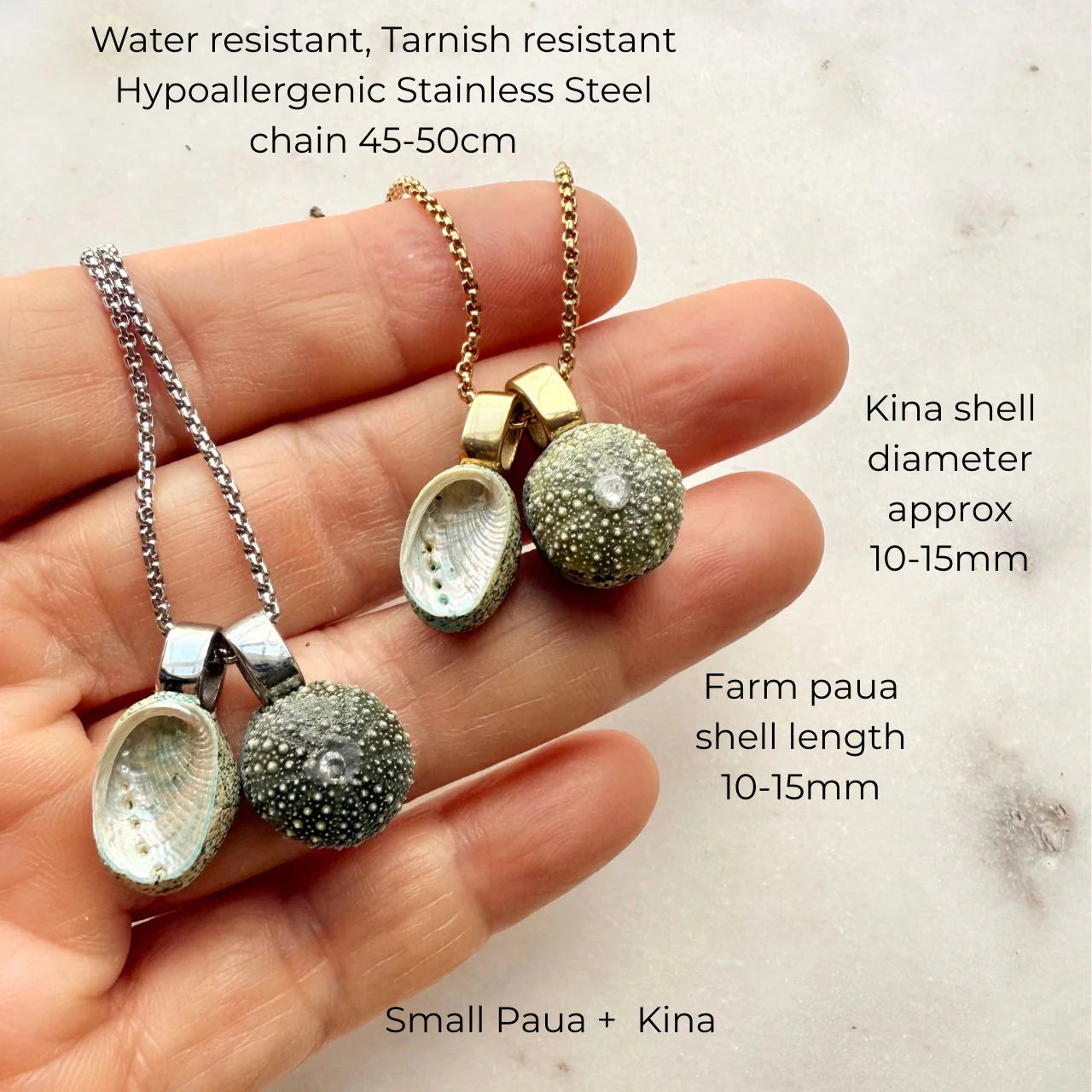 Paua & Kina Shell Pair Necklace