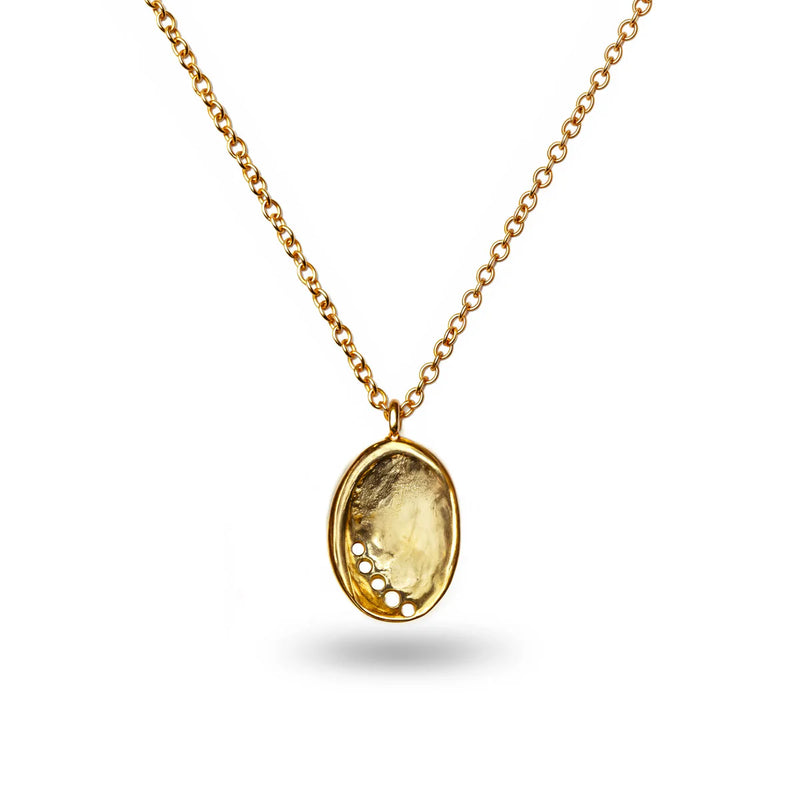 Baby Pāua Pendant Gold