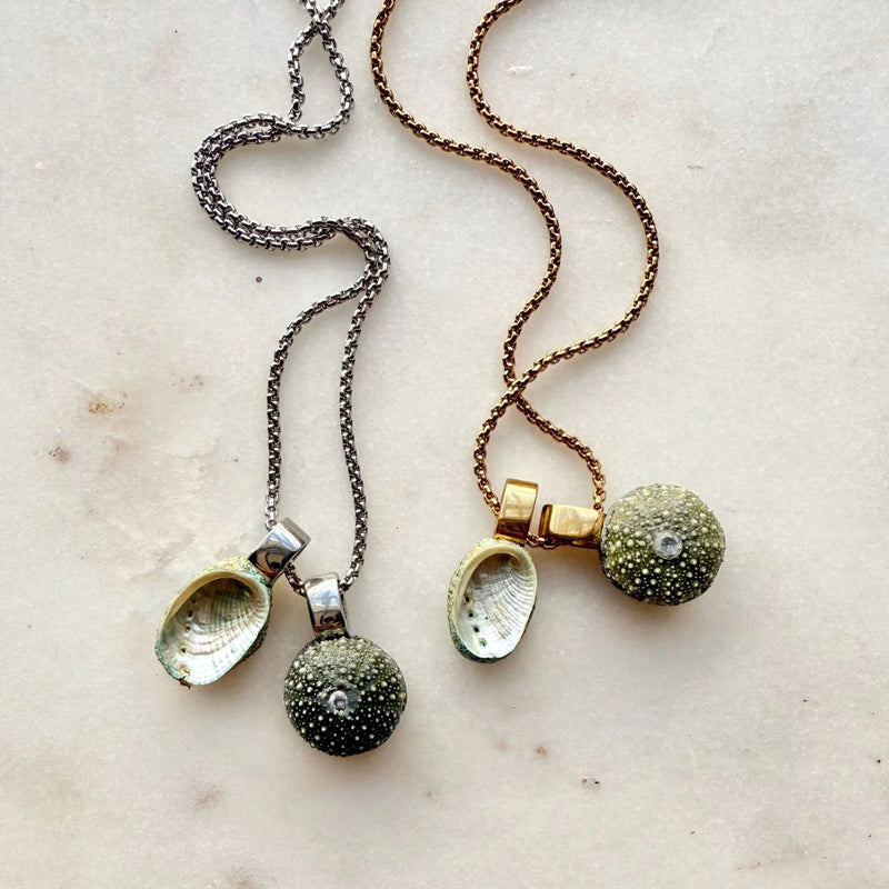 Paua & Kina Shell Pair Necklace