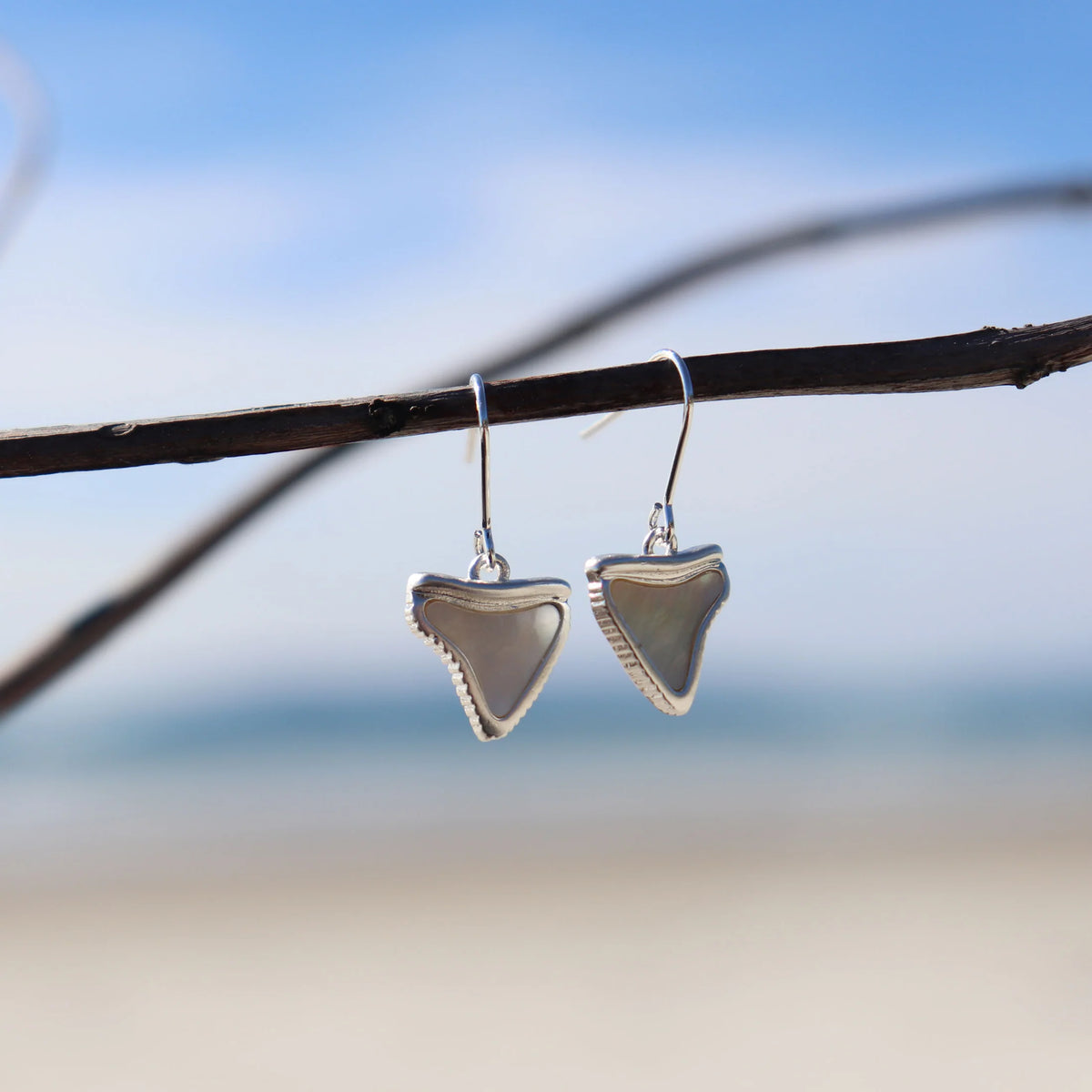Shark Tooth