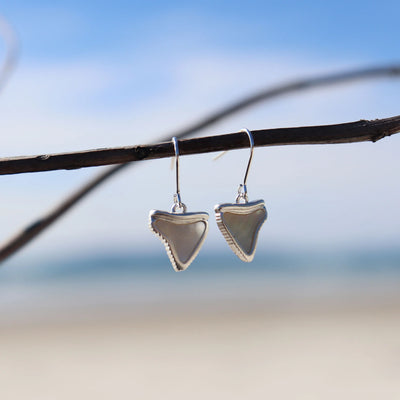 Shark Tooth