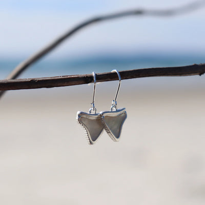 Shark Tooth