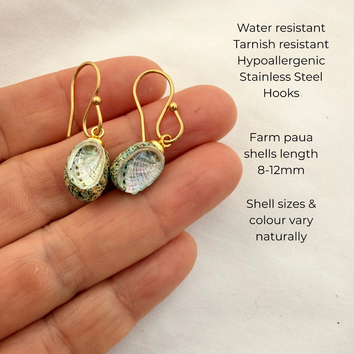 Tiny Farm Paua Shell Hook Earrings (Beachsand Stone)